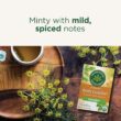 Traditional Medicinals Organic Belly Comfort Peppermint Tea, 16 Count, Pack of 6