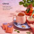 Yogi Sweet Tangerine Positive Energy Tea - 16 Tea Bags per Pack (6 Packs) - Organic Tangerine Energy Tea Yogi Sweet Tangerine Positive Energy Tea - 16 Tea Bags per Pack (6 Packs) - Organic Tangerine Energy Tea