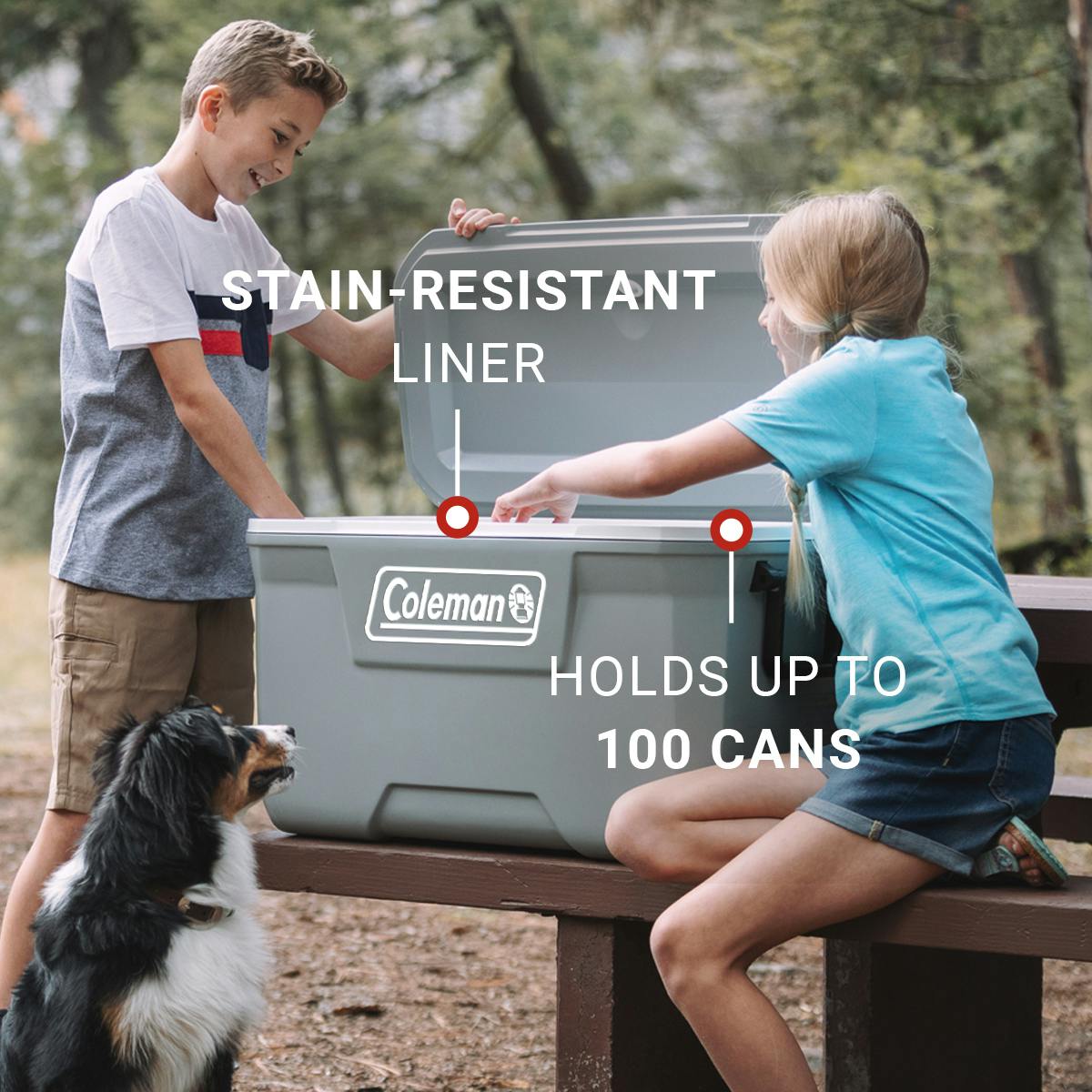Coleman Classic Series 70-Quart Hard Cooler, Rock Coleman Classic Series 70-Quart Hard Cooler, Rock - Image 4