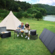 EcoFlow NextGen 220W Bifacial Portable Solar Panel 84.8-in x 24.2-in x 1-in 220-Watt Portable Solar Panel