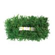 Bethel Farms 144-sq ft Natural St. Augustine Sod Plug
