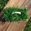 Bethel Farms 144-sq ft Natural St. Augustine Sod Plug