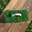 Bethel Farms 144-sq ft Natural Zoysia Sod Plug