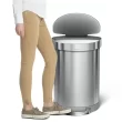 Simplehuman Semi-Round Liner Rim Can, 60-Liter Brushed Stainless Steel Indoor Kitchen Step Trash Can