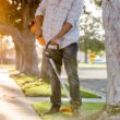 WORX Power Share 40-volt 13-in Straight Shaft Battery String Trimmer 2 Ah (Battery and Charger Included)