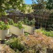 Vego Garden 24-Inches W x 96-Inches L x 32-Inches H Pearl White Metal Raised Garden Bed Vego Garden 24-Inches W x 96-Inches L x 32-Inches H Pearl White Metal Raised Garden Bed