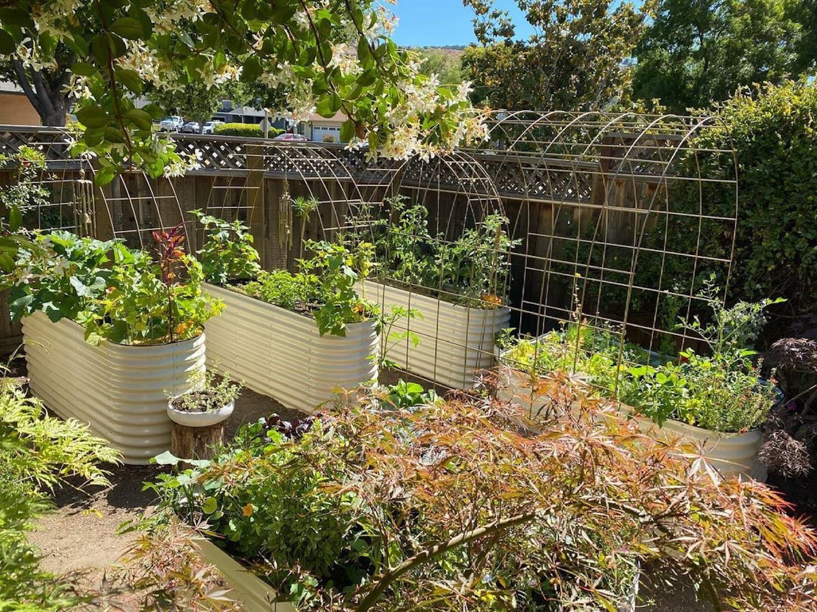 Vego Garden 24-Inches W x 96-Inches L x 32-Inches H Pearl White Metal Raised Garden Bed Vego Garden 24-Inches W x 96-Inches L x 32-Inches H Pearl White Metal Raised Garden Bed
