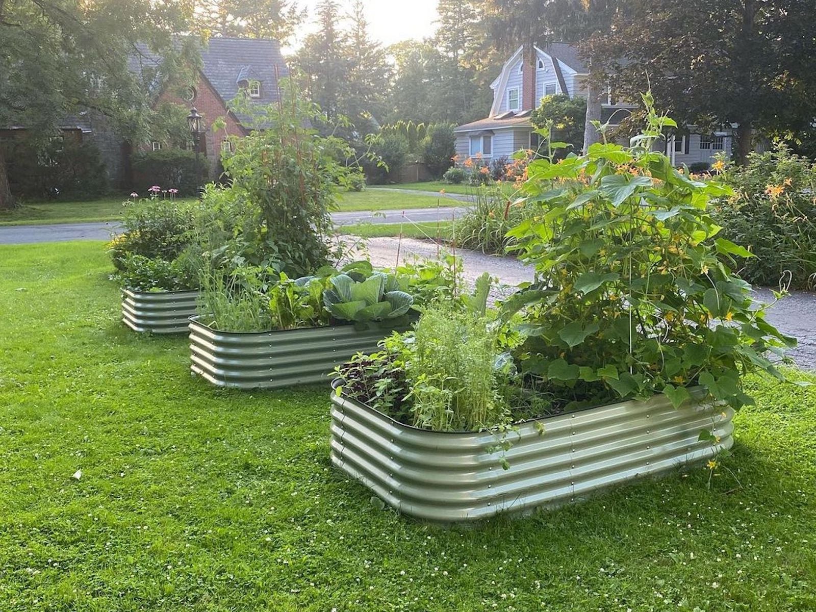 Vego Garden 42-Inches W x 78-Inches L x 17-Inches H Olive Green Metal Raised Garden Bed Vego Garden 42-Inches W x 78-Inches L x 17-Inches H Olive Green Metal Raised Garden Bed