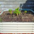 Vego Garden 48-Inches W x 96-Inches L x 17-Inches H Pearl White Metal Raised Garden Bed Vego Garden 48-Inches W x 96-Inches L x 17-Inches H Pearl White Metal Raised Garden Bed