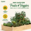 Greenes Fence 48-Inches W x 96-Inches L x 14-Inches H Natural Cedar Cedar Raised Garden Bed