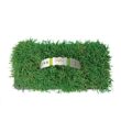 Bethel Farms 144-sq ft Natural Zoysia Sod Plug