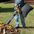 WORX Trivac 620-CFM 70-MPH Corded Electric Handheld Leaf Blower