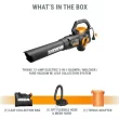 WORX Trivac 620-CFM 70-MPH Corded Electric Handheld Leaf Blower