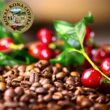ROYAL KONA COFFEE Whole Bean - 100% Hawaiian Kona Whole Bean Coffee Medium Roast, 7 oz