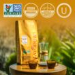 Mayorga Organic Coffee 5lb Mayan Blend Medium Roast Whole Bean Coffee Specialty Grade, Kosher