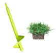 Bethel Farms 144-sq ft Natural Zoysia Sod Plug