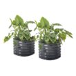 Vego Garden 24-Inches W x 24-Inches L x 17-Inches H Modern Gray Galvanized Metal Raised Garden Bed
