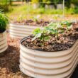 Vego Garden 84-Inches W x 84-Inches L x 17-Inches H Pearl White Galvanized Metal Raised Garden Bed