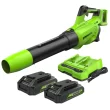 Greenworks 24-volt 515-CFM 120-MPH Battery Handheld Leaf Blower 2 Ah (Battery and Charger Included)