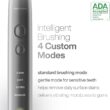 Aquasonic Vibe Series Ultra-Whitening Toothbrush – ADA Accepted Electric Toothbrush - 8 Brush Heads & Travel Case Charcoal Metal