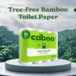 Caboo Tree Free Toilet Paper, Septic Safe Toilet Tissue, Eco Friendly, Pack of 24 Double Rolls, 300 Sheets Per Roll