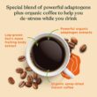 Four Sigmatic Organic Mushroom Coffee | Instant Mushroom Coffee Mix with Lion's Mane, Chaga and Rhodiola
