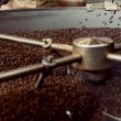 Coffee Bean Direct Penny Pincher's Light Roast Blend, Whole Bean, 5 lb Bag