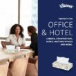 Kleenex Professional Facial Tissue, Bulk (21606), 2-Ply, White, Flat Boxed Format, (125 Tissues/Box, 48 Boxes, 6,000 Sheets/Case) Kleenex Professional Facial Tissue, Bulk (21606), 2-Ply, White, Flat Boxed Format, (125 Tissues/Box, 48 Boxes, 6,000 Sheets/Case)
