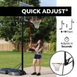 Lifetime 44'' Steel-Framed Portable Basketball Hoop