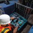 Makita MAKTRAK Large Tool Box T-90015