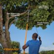 Fiskars 15 in. Steel Blade Tree Pruner and 8.5 in. Pruning Shears (2-Piece) 1076079 Fiskars 15 in. Steel Blade Tree Pruner and 8.5 in. Pruning Shears (2-Piece) 1076079