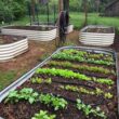 Vego Garden 48-in W x 96-in L x 17-in H Pearl White Metal Raised Garden Bed Vego Garden 48-in W x 96-in L x 17-in H Pearl White Metal Raised Garden Bed