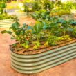 Vego Garden 41-cu ft 84-in W x 84-in L x 17-in H Olive Green Galvanized Metal Raised Garden Bed Vego Garden 41-cu ft 84-in W x 84-in L x 17-in H Olive Green Galvanized Metal Raised Garden Bed