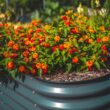 Vego Garden 33-cu ft 42-in W x 42-in L x 32-in H Modern Gray Galvanized Metal Raised Garden Bed Vego Garden 33-cu ft 42-in W x 42-in L x 32-in H Modern Gray Galvanized Metal Raised Garden Bed