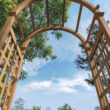 Vita Urban 3.92-ft W x 7.39-ft H Arched Golden Brown Cedar Garden Arbor
