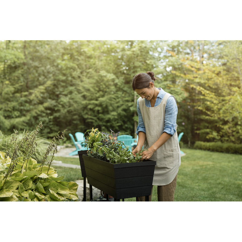 Keter Urban Bloomer Raised Garden Bed with Self-Watering and Drainage System Elevated Raised Planter for Backyard Patio Balcony