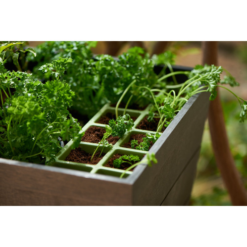 Keter Urban Bloomer Raised Garden Bed with Self-Watering and Drainage System Elevated Raised Planter for Backyard Patio Balcony