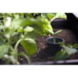 Keter Urban Bloomer Raised Garden Bed with Self-Watering and Drainage System Elevated Raised Planter for Backyard Patio Balcony