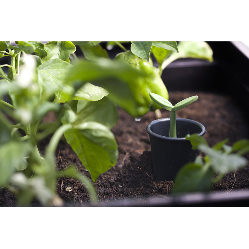 Keter Urban Bloomer Raised Garden Bed with Self-Watering and Drainage System Elevated Raised Planter for Backyard Patio Balcony