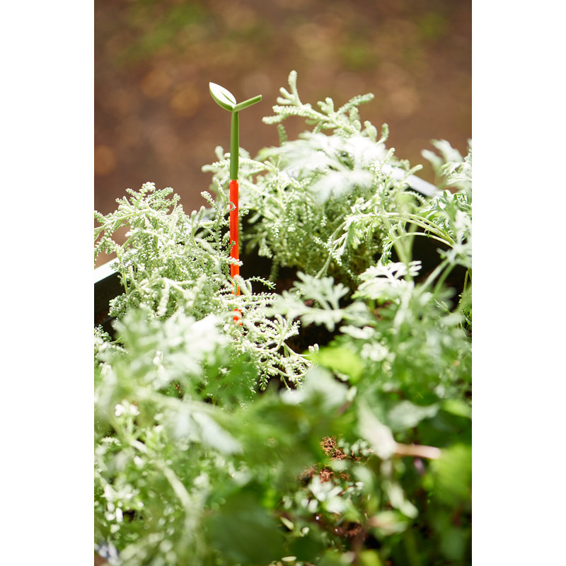 Keter Urban Bloomer Raised Garden Bed with Self-Watering and Drainage System Elevated Raised Planter for Backyard Patio Balcony