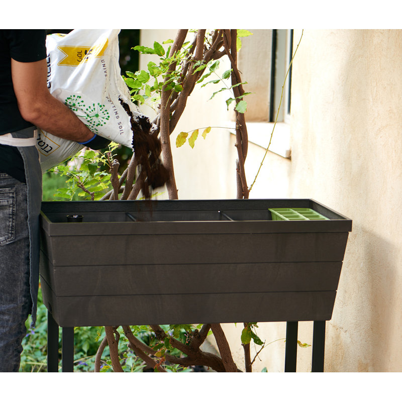 Keter Urban Bloomer Raised Garden Bed with Self-Watering and Drainage System Elevated Raised Planter for Backyard Patio Balcony