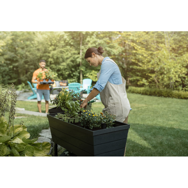 Keter Urban Bloomer Raised Garden Bed with Self-Watering and Drainage System Elevated Raised Planter for Backyard Patio Balcony