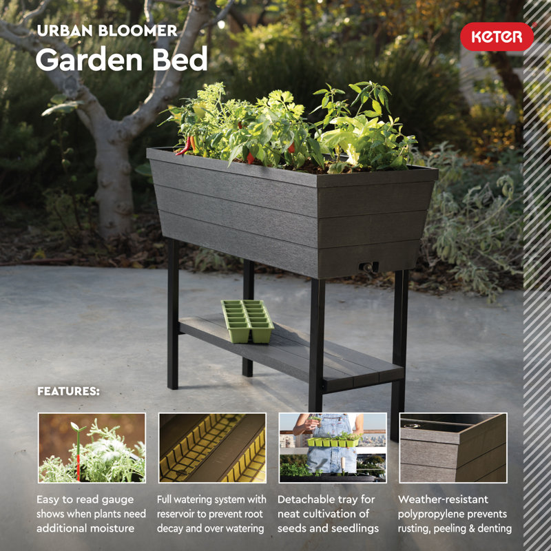 Keter Urban Bloomer Raised Garden Bed with Self-Watering and Drainage System Elevated Raised Planter for Backyard Patio Balcony