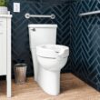 American Standard Clean White Elongated Chair height Soft Close 2-piece Toilet 12-in Rough-In WaterSense 1.28 GPF