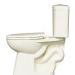 Project Source Pro-Flush Oyster Dual Flush Elongated Chair height 2-piece Toilet 12-in Rough-In WaterSense 1.6 GPF