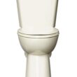 Project Source Pro-Flush Oyster Dual Flush Elongated Chair height 2-piece Toilet 12-in Rough-In WaterSense 1.6 GPF