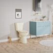 Project Source Pro-Flush Oyster Dual Flush Elongated Chair height 2-piece Toilet 12-in Rough-In WaterSense 1.6 GPF