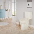 Project Source Pro-Flush Oyster Dual Flush Elongated Chair height 2-piece Toilet 12-in Rough-In WaterSense 1.6 GPF