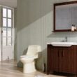 Project Source Laporte Oyster Dual Flush Elongated Chair height Soft Close 1-piece Toilet 12-in Rough-In WaterSense 1.6 GPF