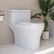 DeerValley Prism White Dual Flush Elongated Chair height Soft Close 1-piece Toilet 12-in Rough-In WaterSense 1.6 GPF